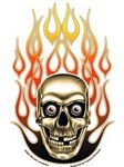 pic for Flaming Skull